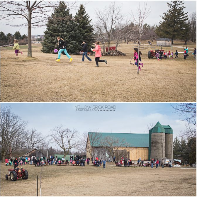 Kids running at Egg hunt at Steckle Heritage Farm kitchener