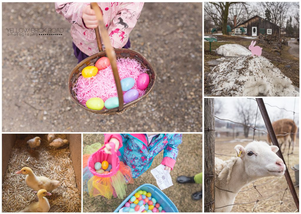 Easter Eggs at the Kitchener Egg Hunt