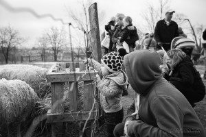 Yellow Brick Road Photography at the Steckle Heritage Farm Egg Hunt Kitchener Ontario