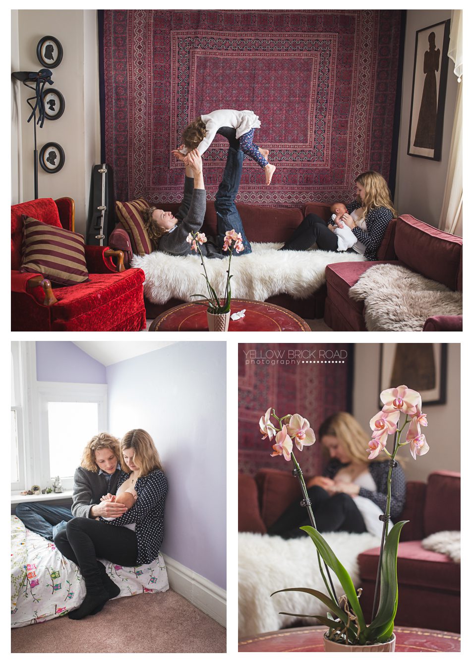 Collage images of Lifestyle In home newborn session in Guelph