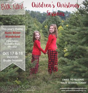 2015 Guelph Christmas Mini Sessions