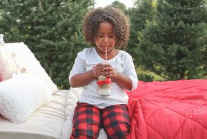 Christmas Mini Sessions in Guelph by Yellow Brick Road Photography
