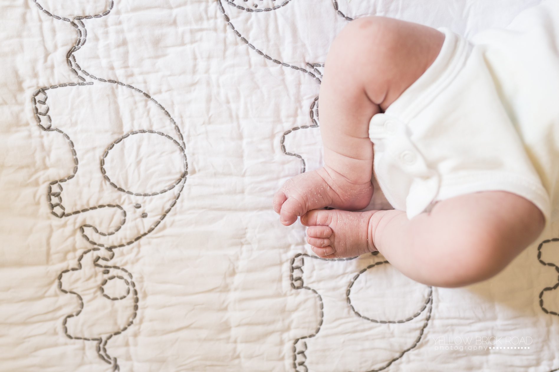 Kitchener Ayr Newborn Photographer Yellow Brick Road Photography www.yellowbrickroadphoto.ca