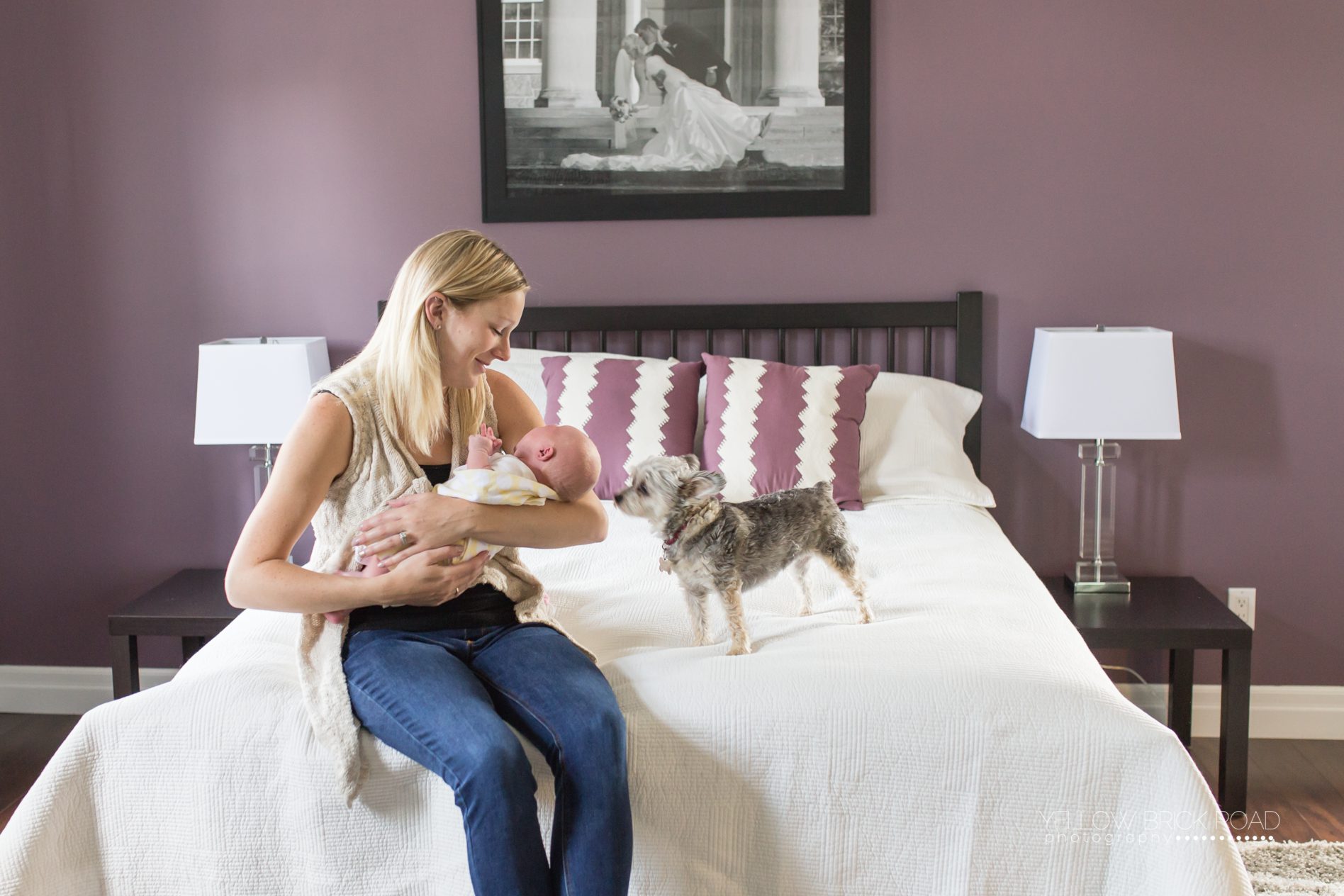 Kitchener Ayr Newborn Photographer Yellow Brick Road Photography www.yellowbrickroadphoto.ca