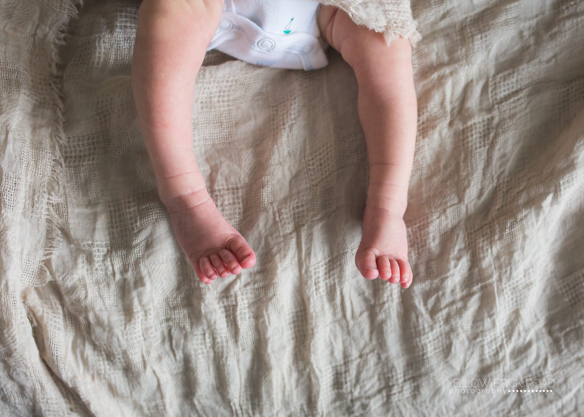Guelph-Newborn-session-6
