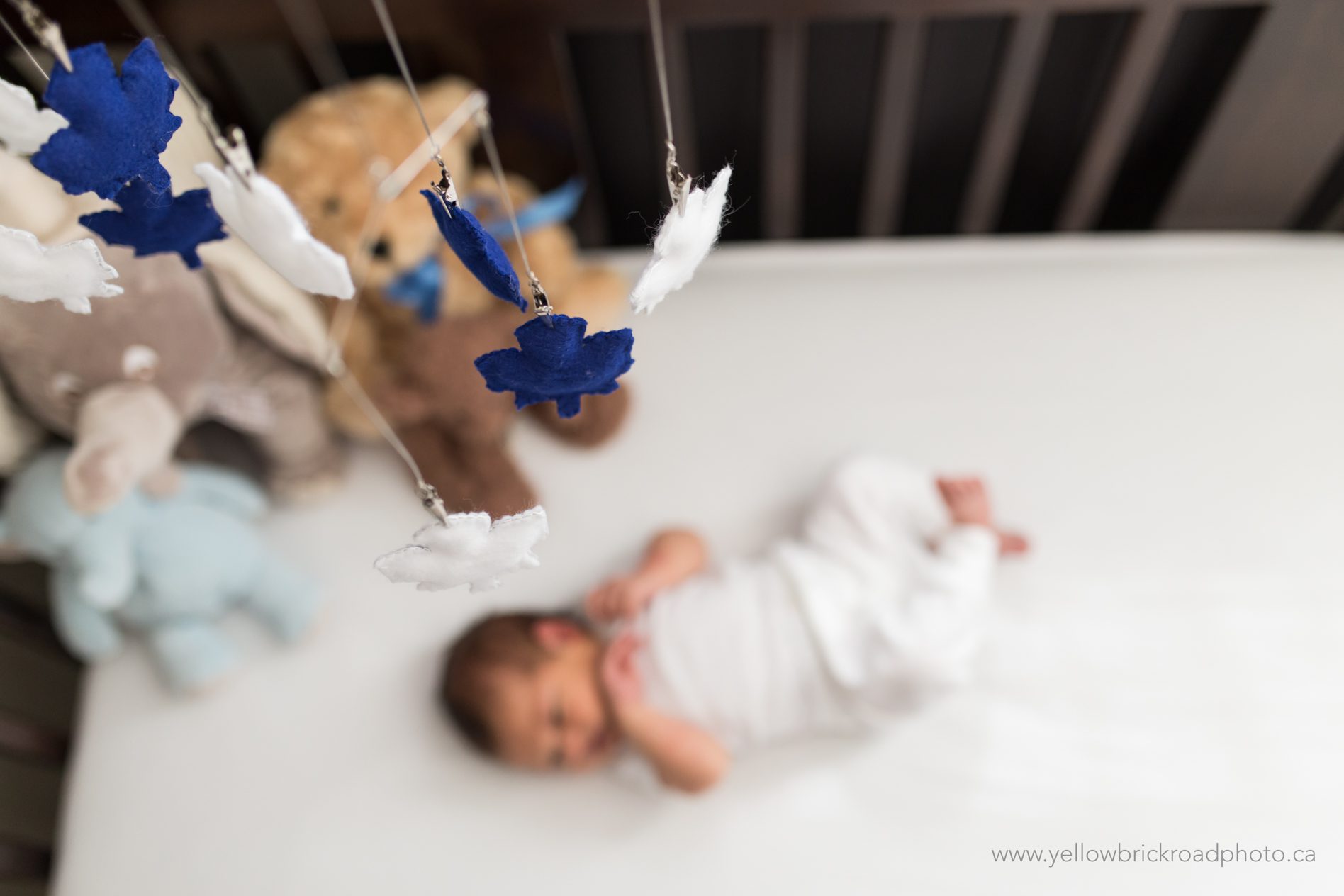 Elmira Newborn Photography Yellow Brick Road Photography www.yellowbrickroadphoto.ca
