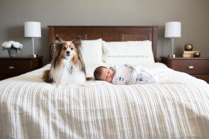 Elmira Newborn Lifestyle Photography Yellow Brick Road Photography
