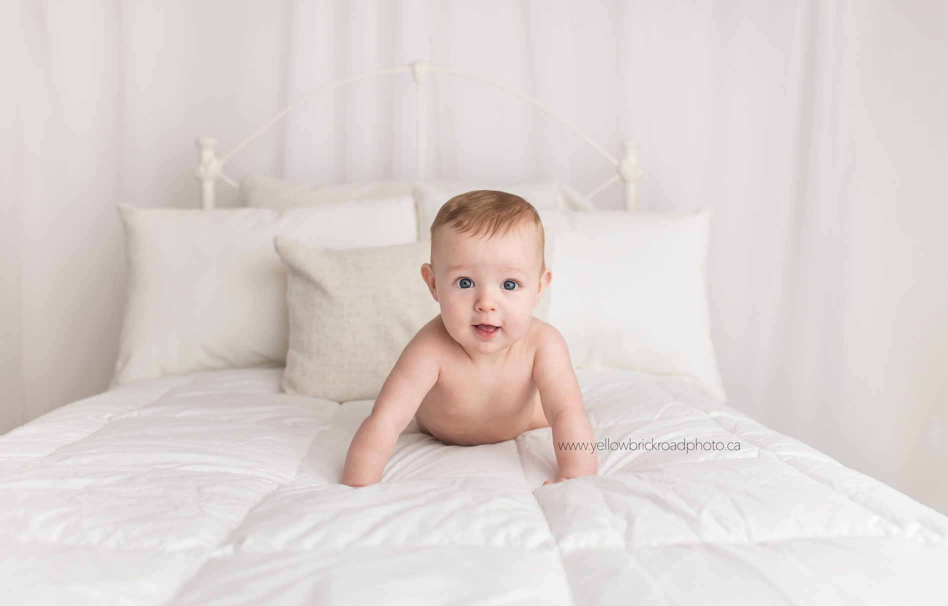 6 month baby photographer Yellow Brick Road Photography