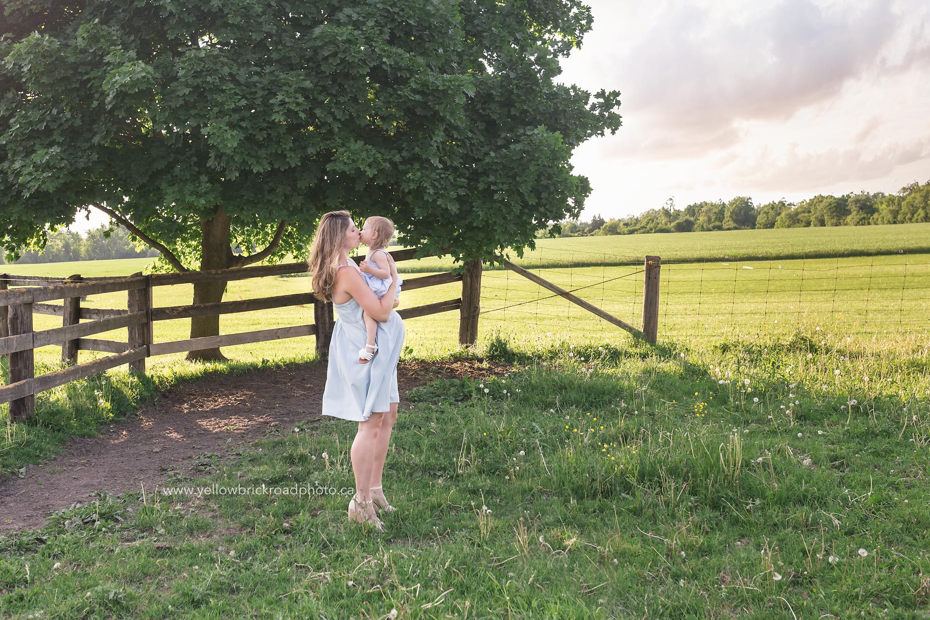Farm Maternity, Guelph maternity session ON Yellow Brick Road Photography