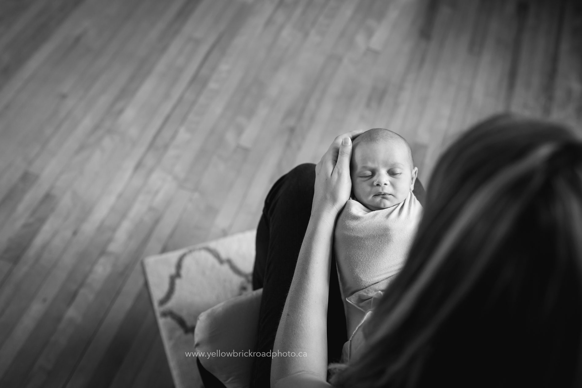 Guelph Newborn Photos