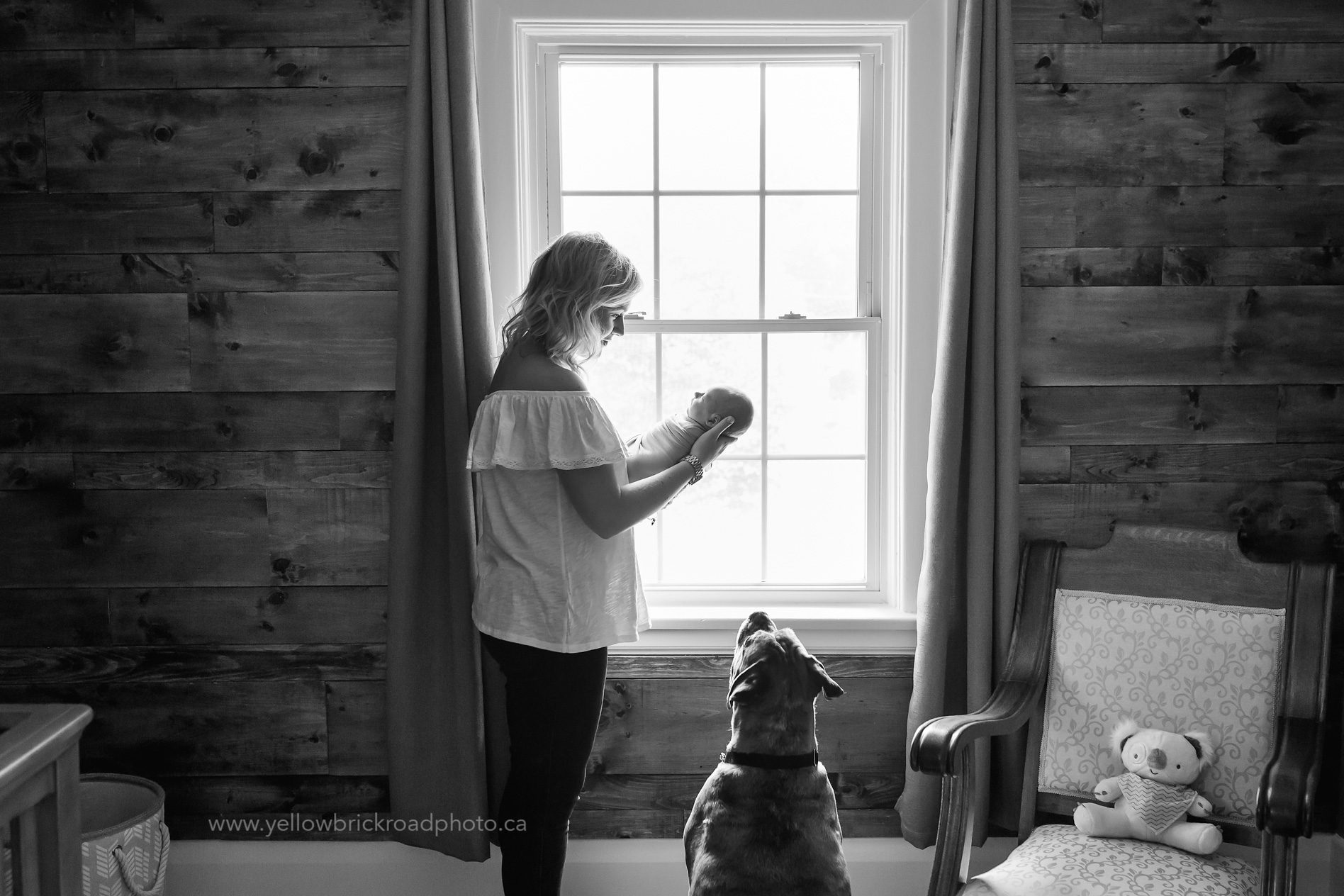 London Newborn Lifestyle Session with Fur sibling