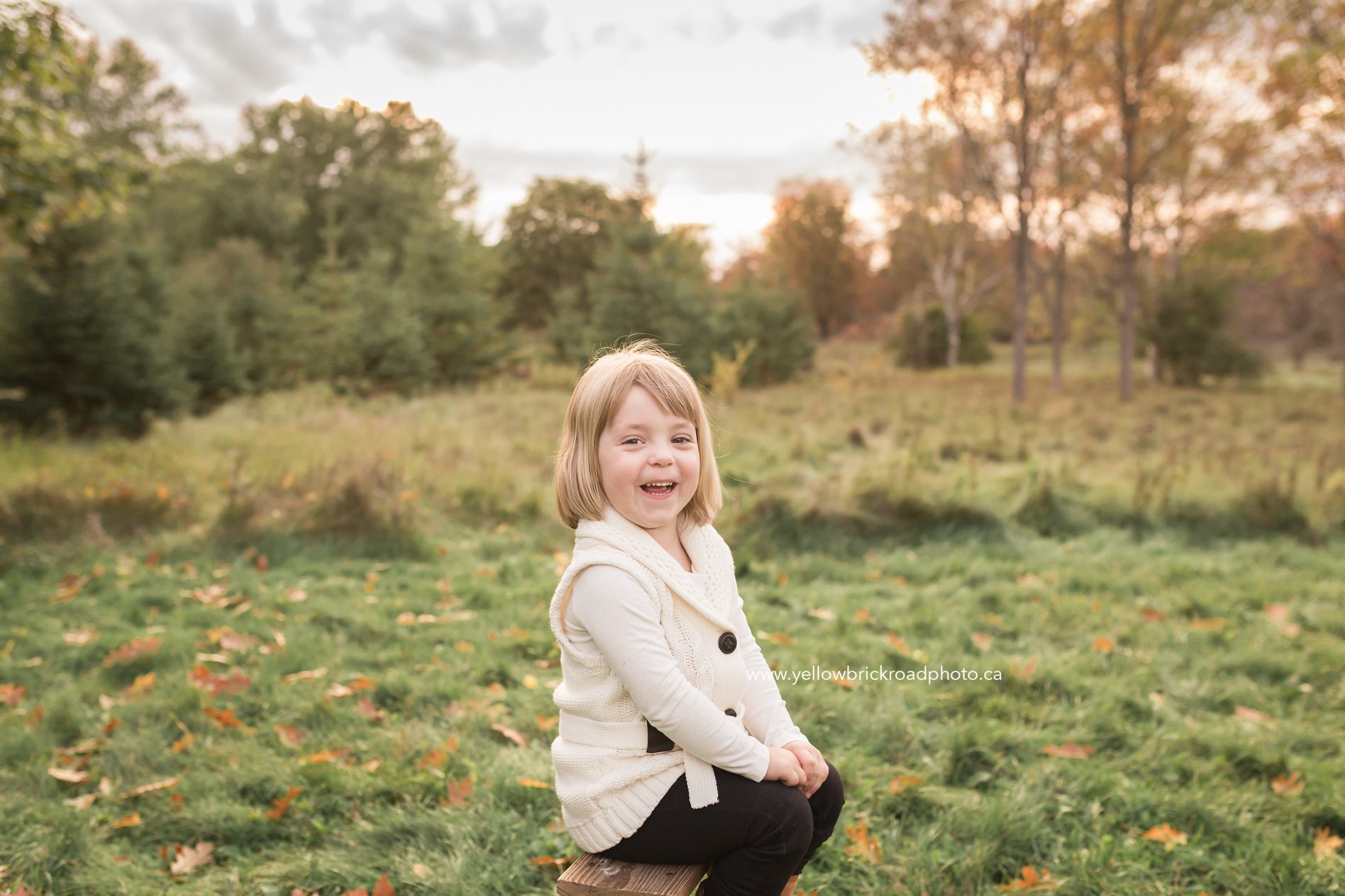 Guelph Family Photographer Yellow Brick Road Photography