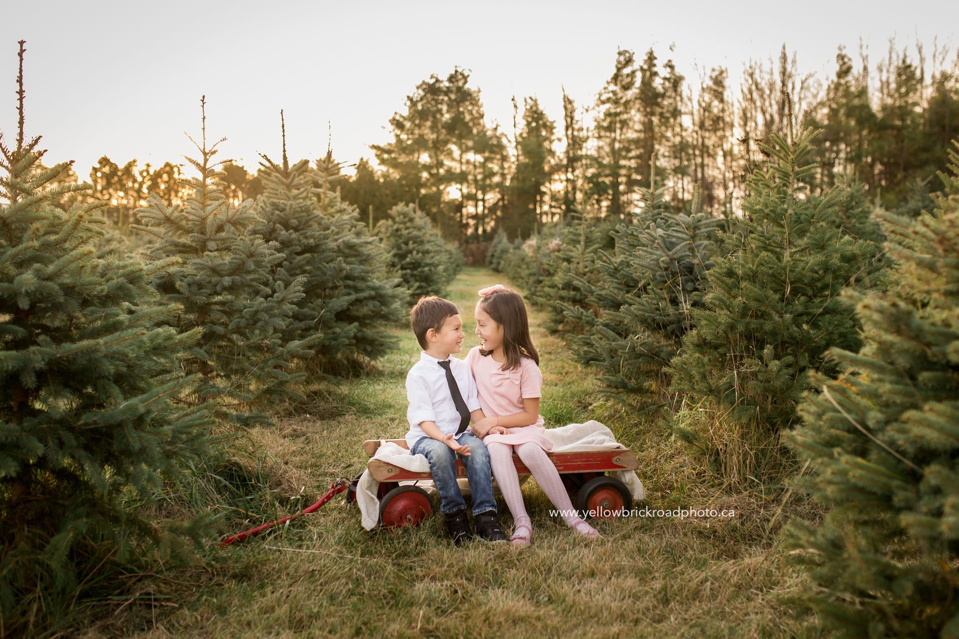 Family Photographer Guelph Yellow Brick Road Photography