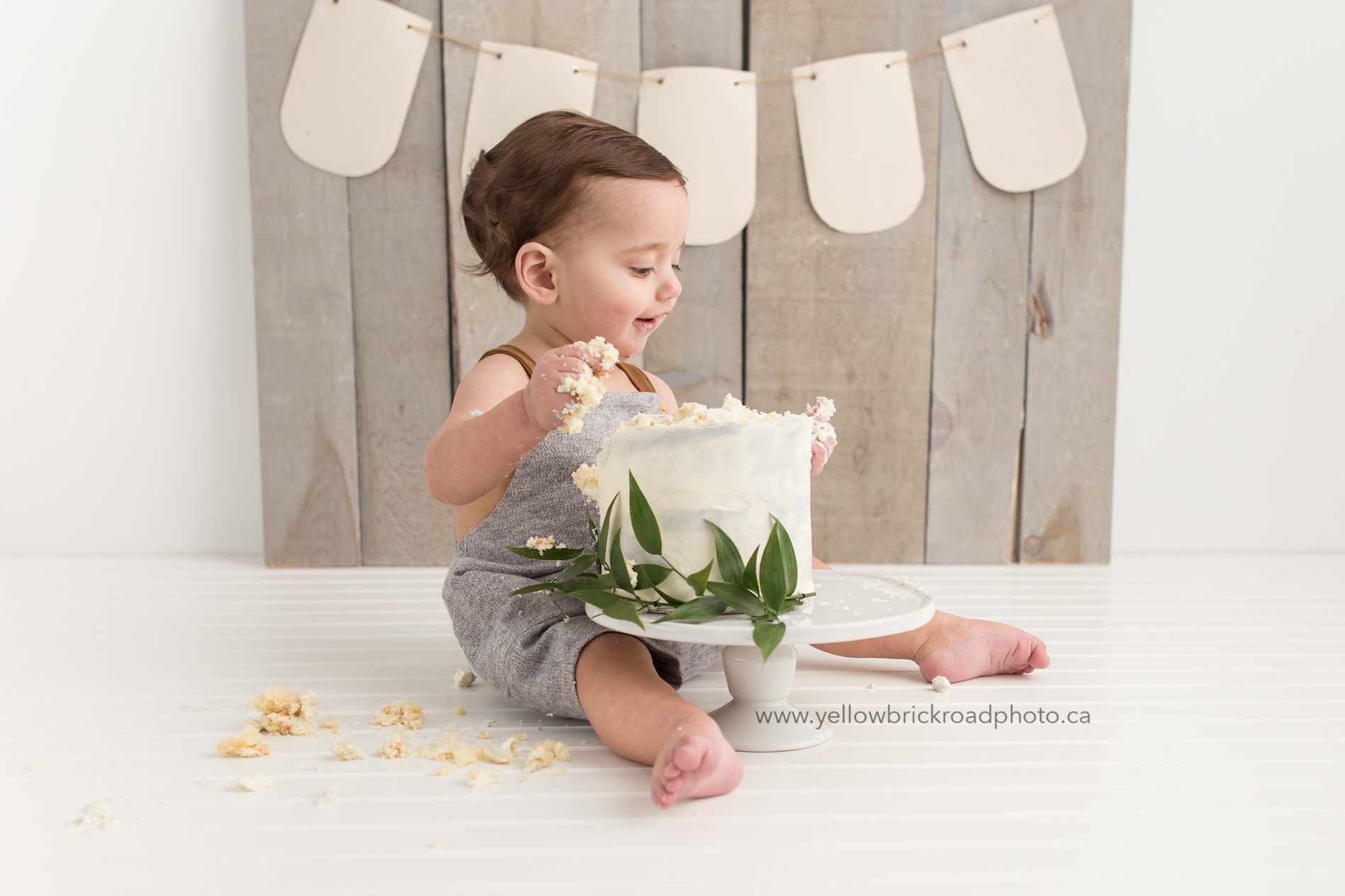 Kitchener Cake Smash Photographer First Birthday Session