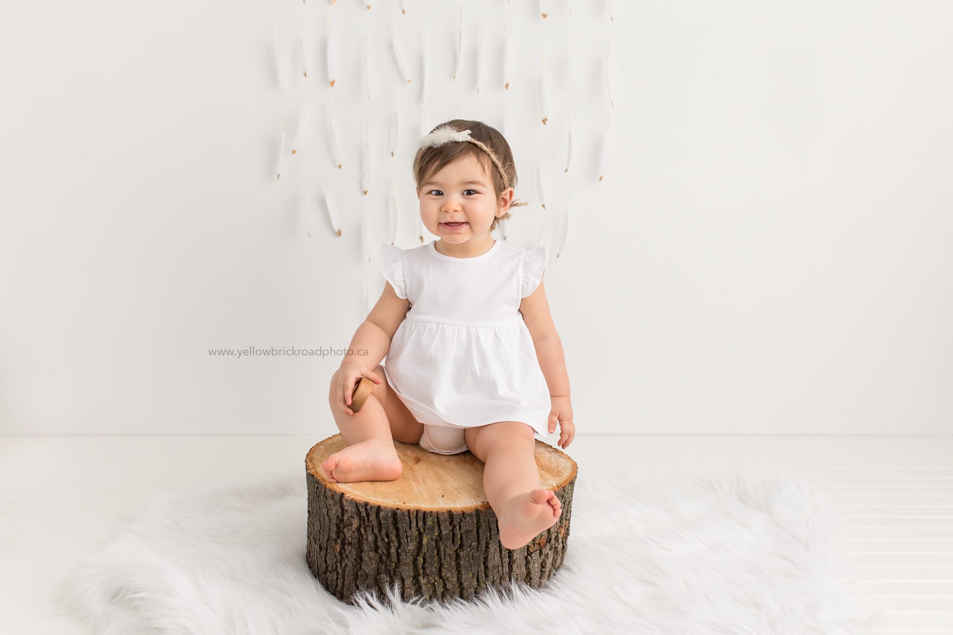 First Birthday Session Birthday photos guelph yellow Brick Road Photography