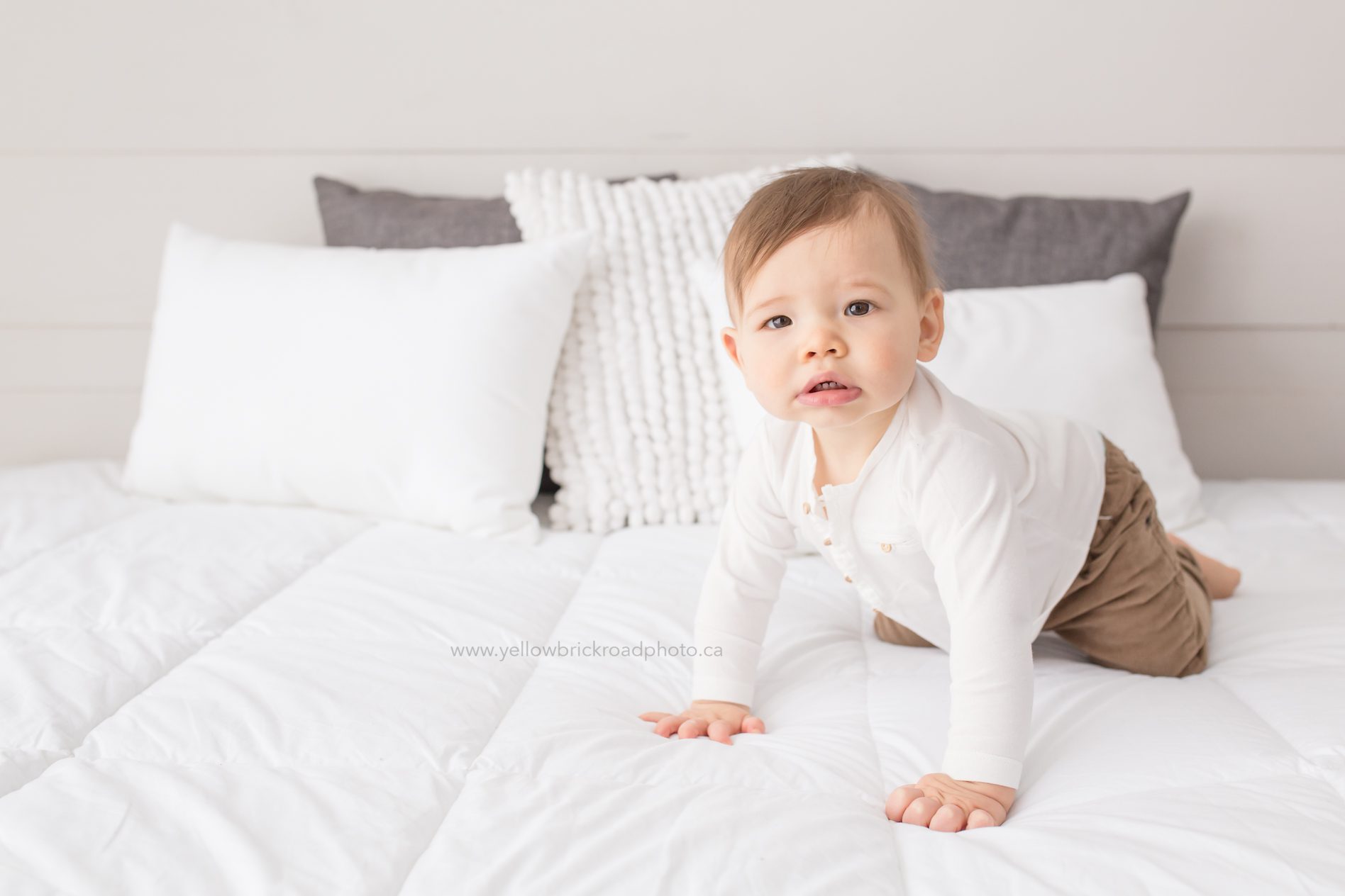 Baby Photographer guelph studio www.yellowbrickroadphoto.ca