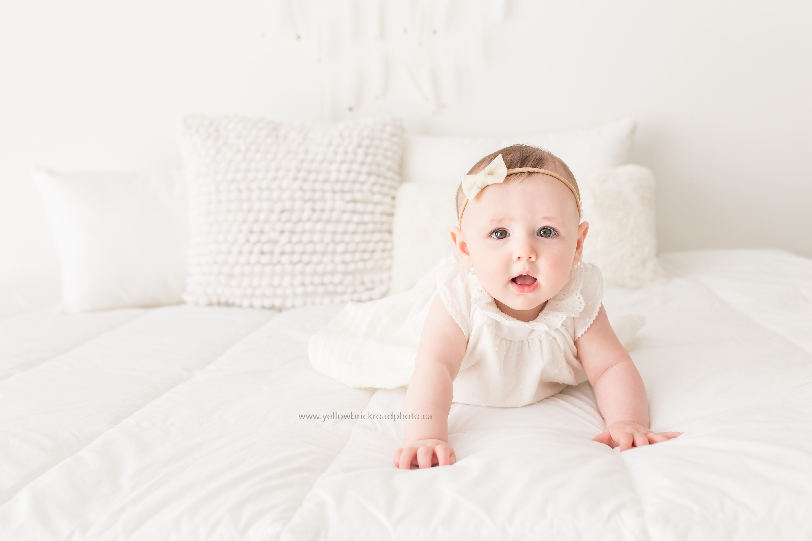 Baby Photography Guelph Ontario 