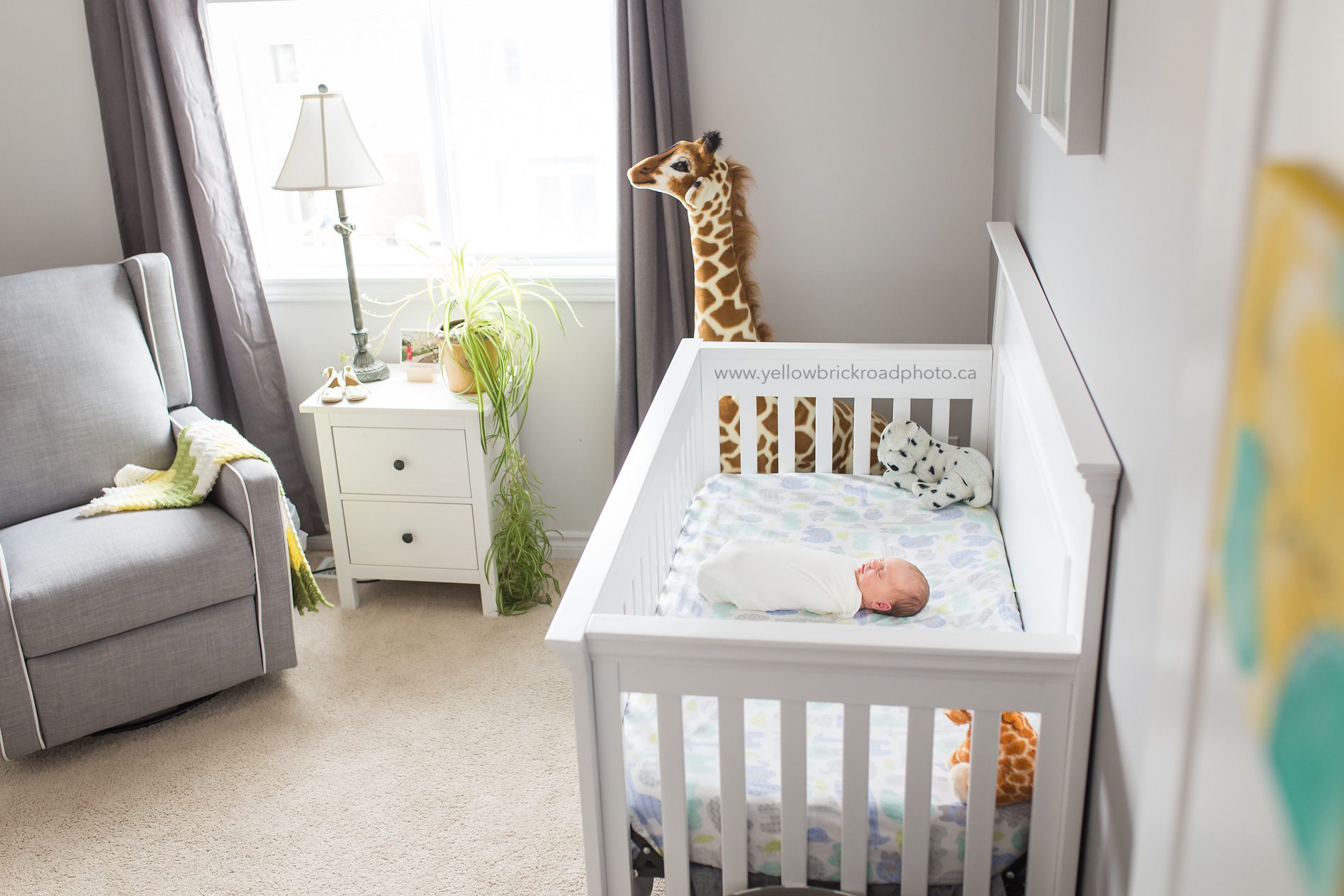 Newborn Photography Guelph nursery room www.yellowbrickroadphoto.ca