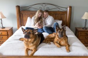 kitchener newborn lifestyle photography dogs on the bed with new parents