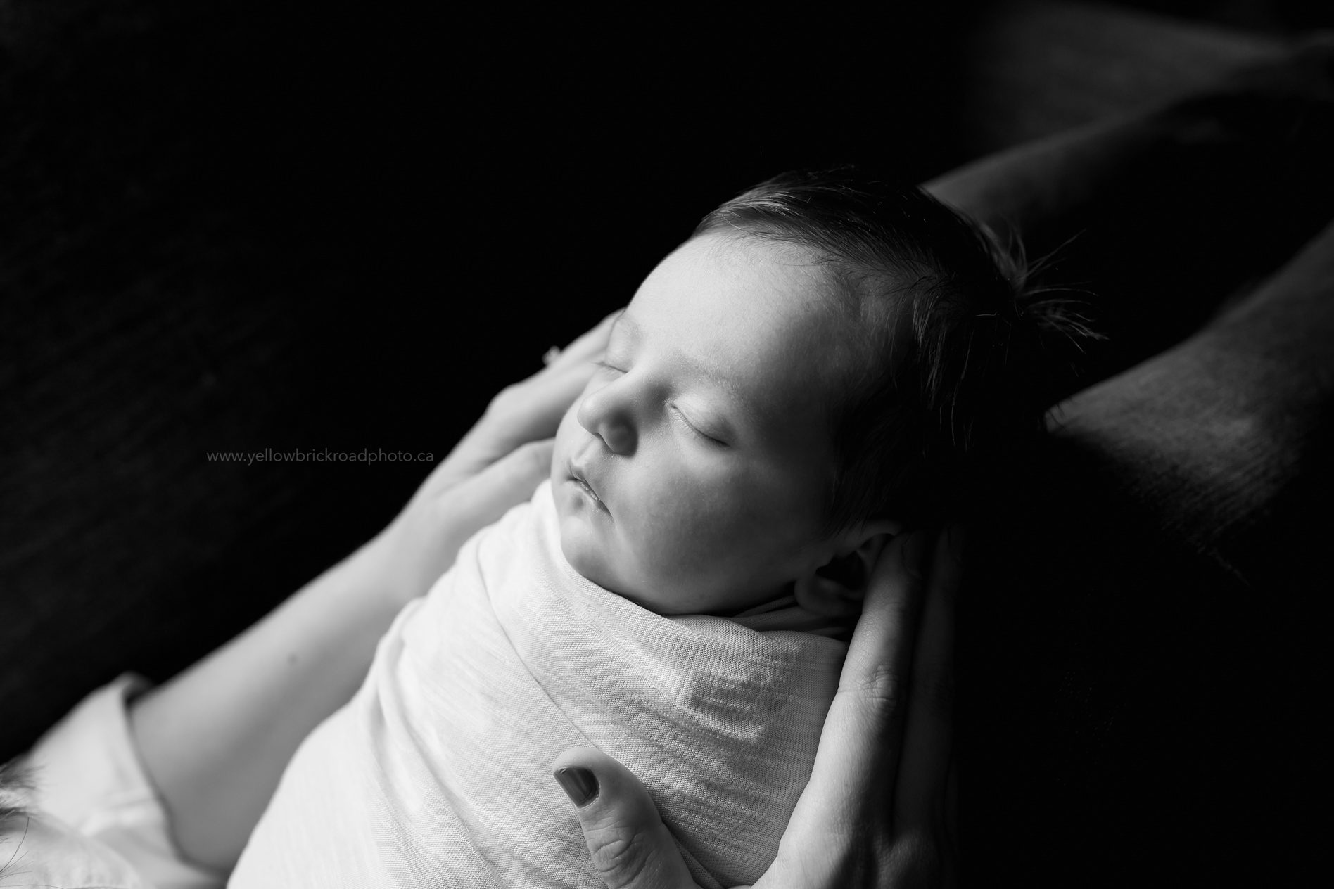Guelph In Home Newborn photographer Black and white portrait