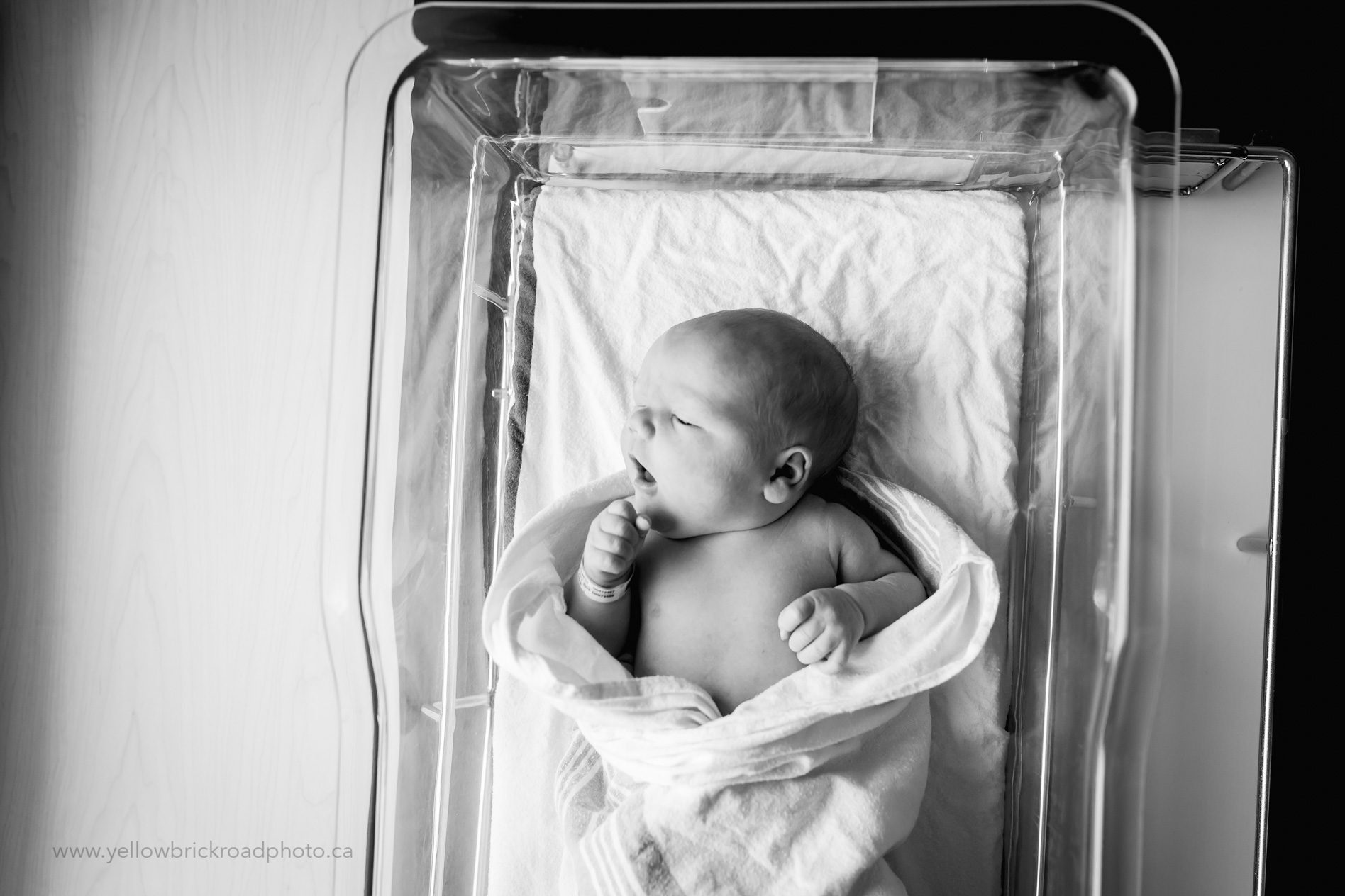 Fresh 48 Guelph Newborn Photographer