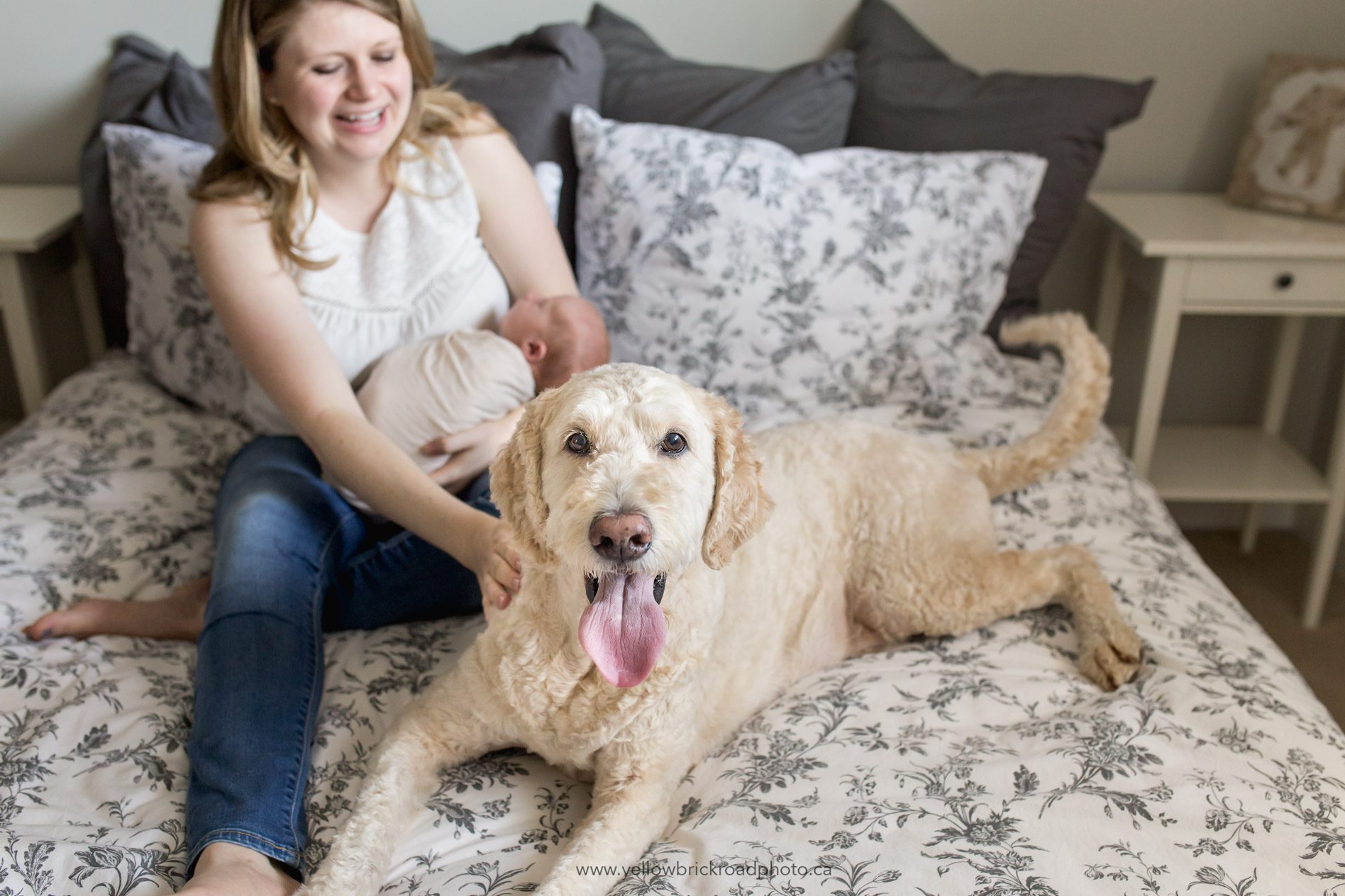Waterloo Newborn Lifestyle Photographers 