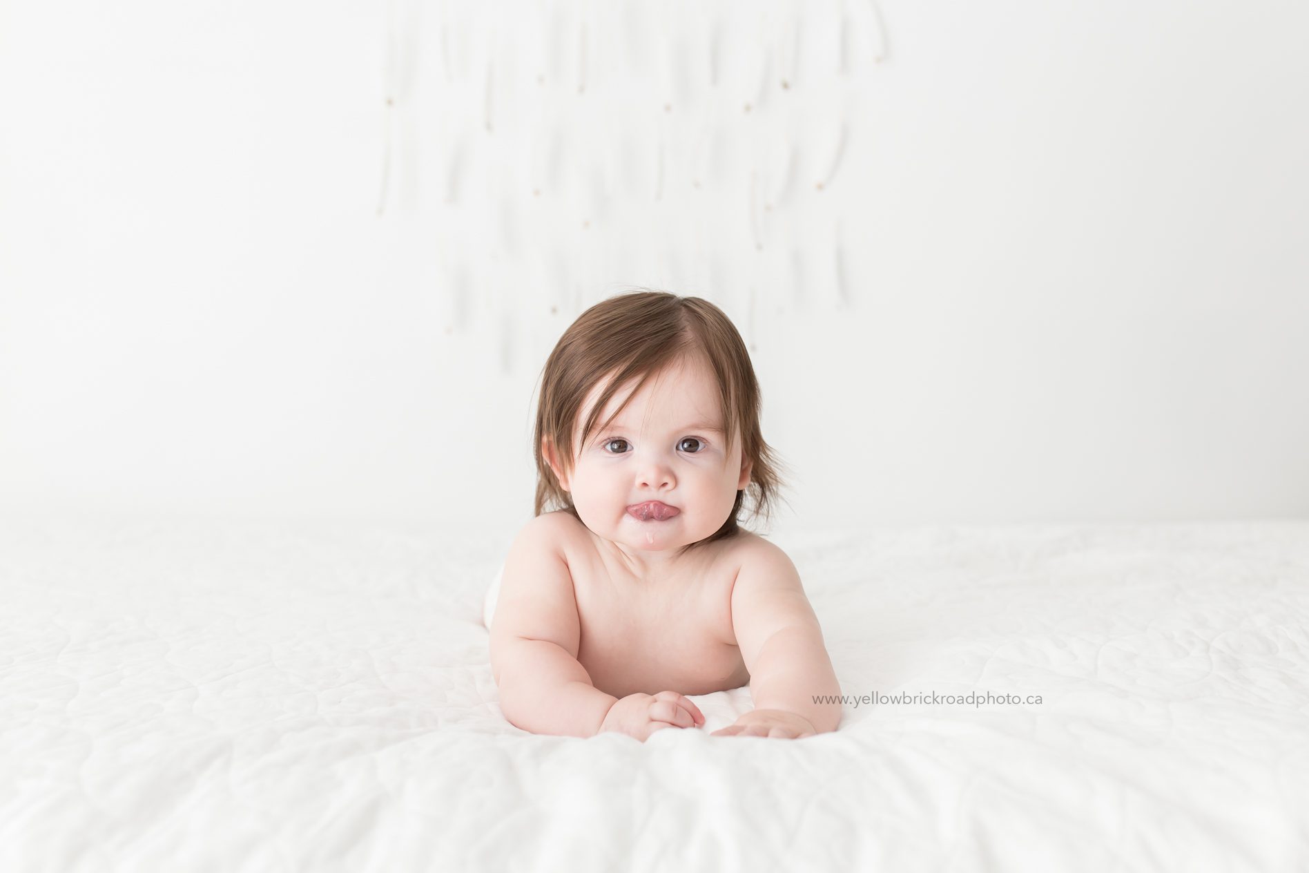 Guelph Baby Photography Sitter Session www.yellowbrickroadphoto.ca