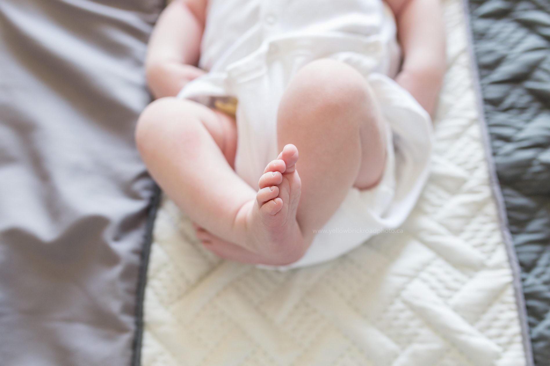 Breslau newborn lifestyle session close up of baby toes