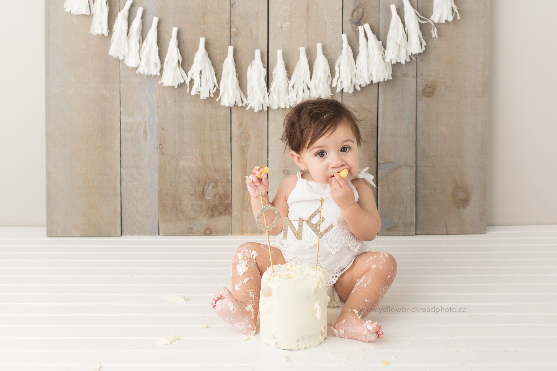First birthday cake smash guelph photographer