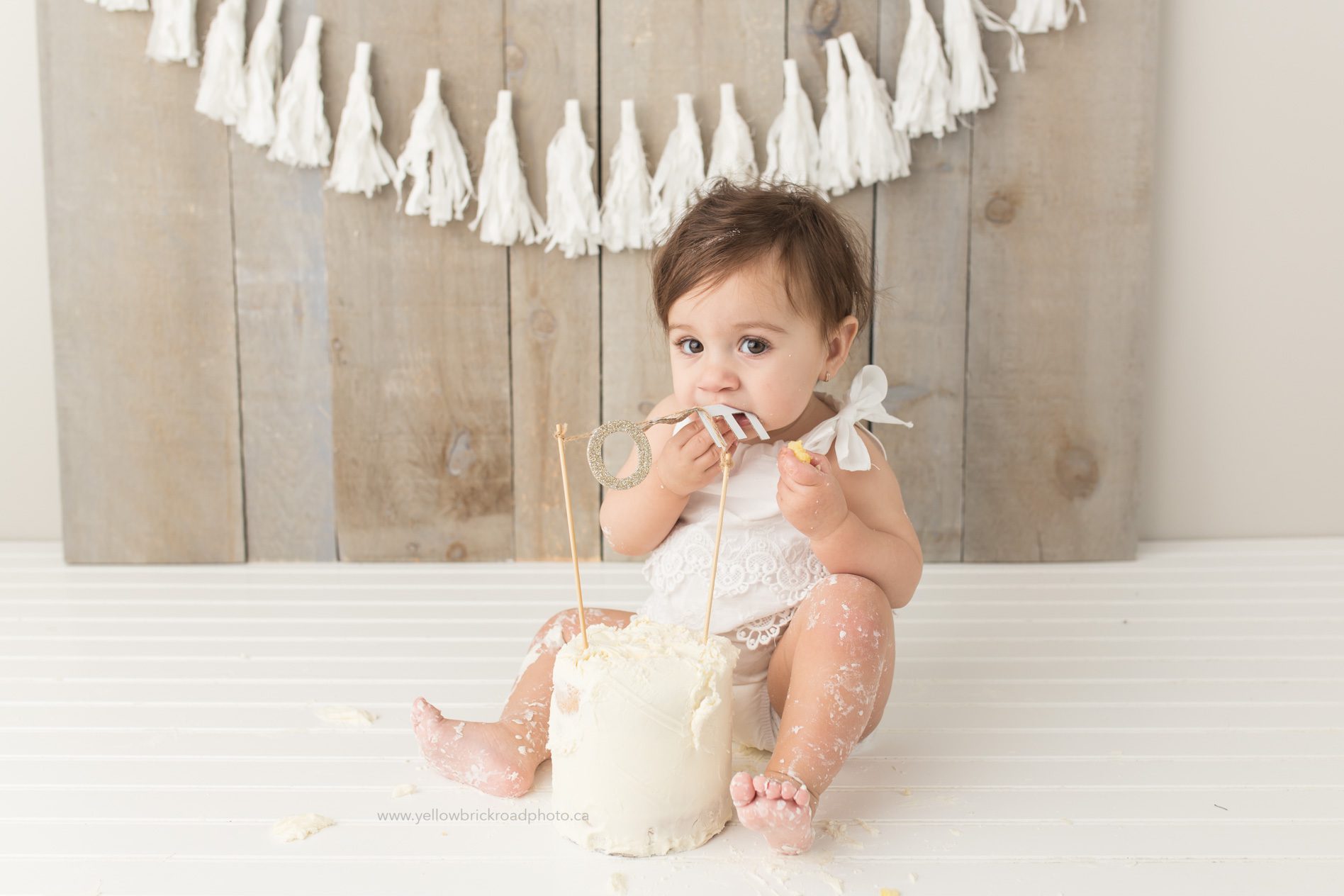 First birthday cake smash guelph photographer