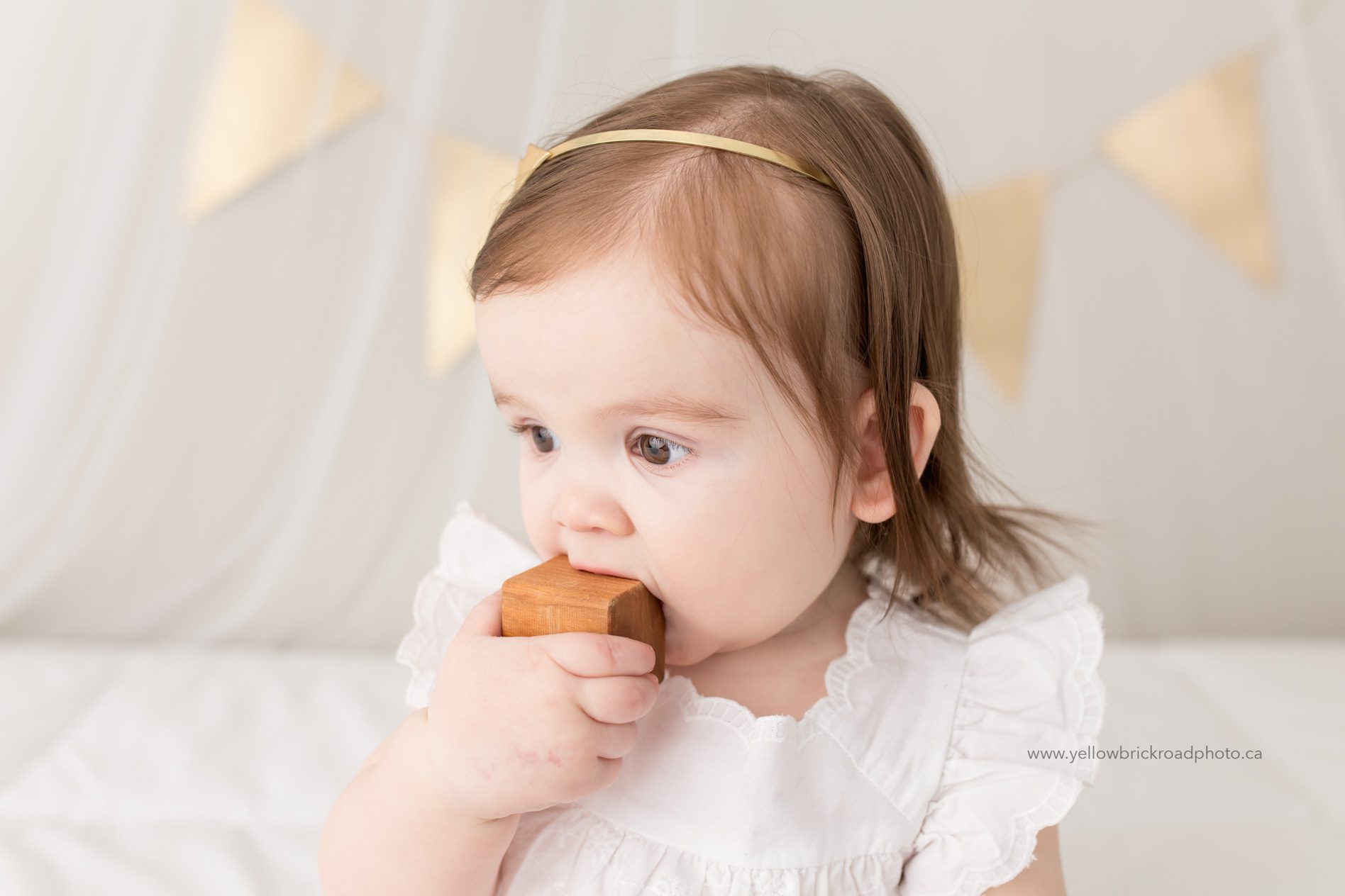 Birthday Milestone long haired little girl first birthday