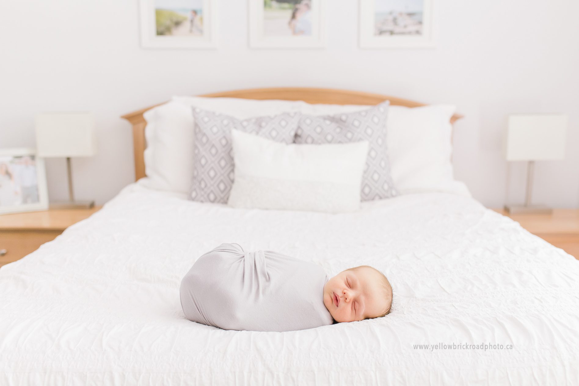 Waterloo Newborn Photographer