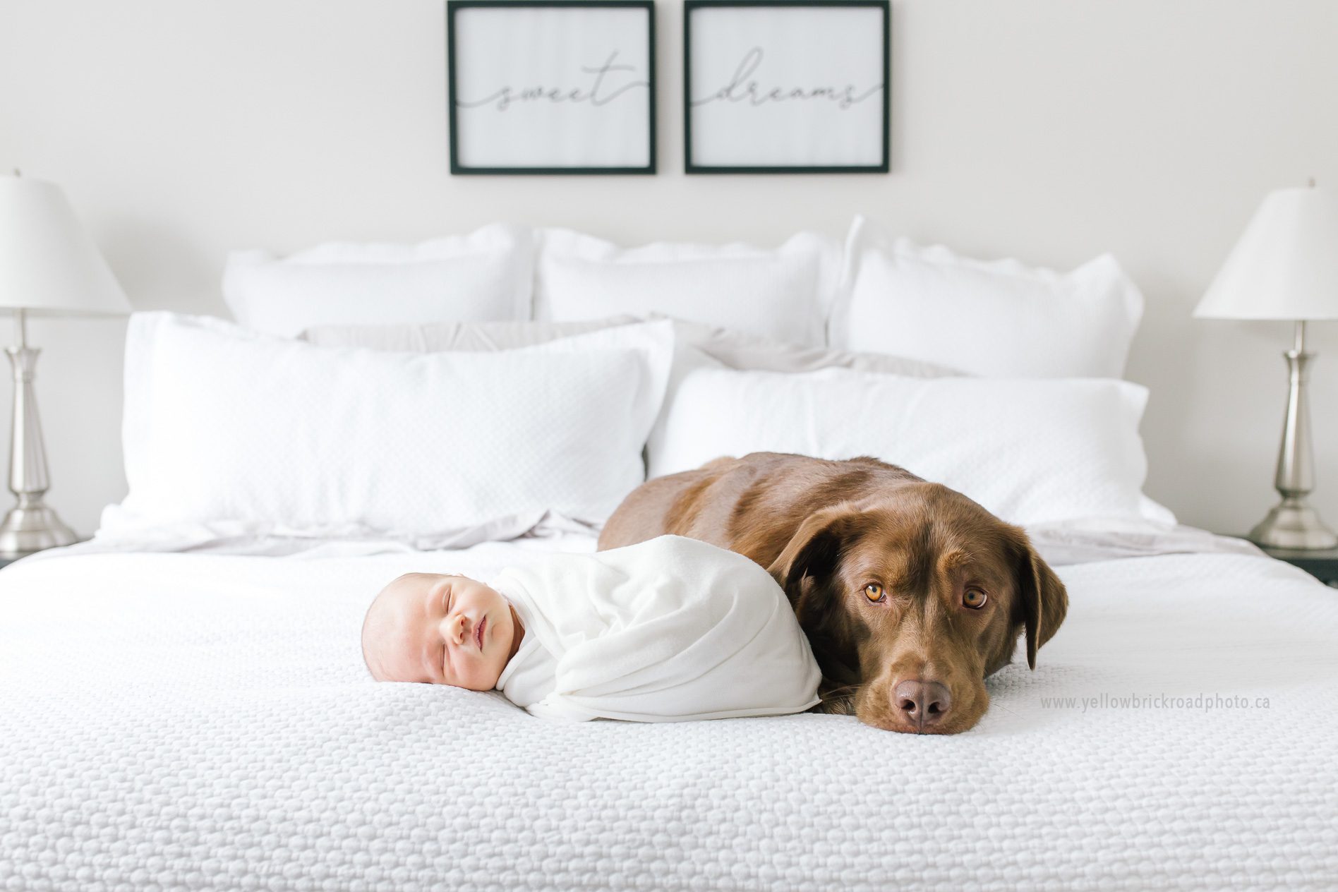 Milton Newborn Lifestyle Photographer 