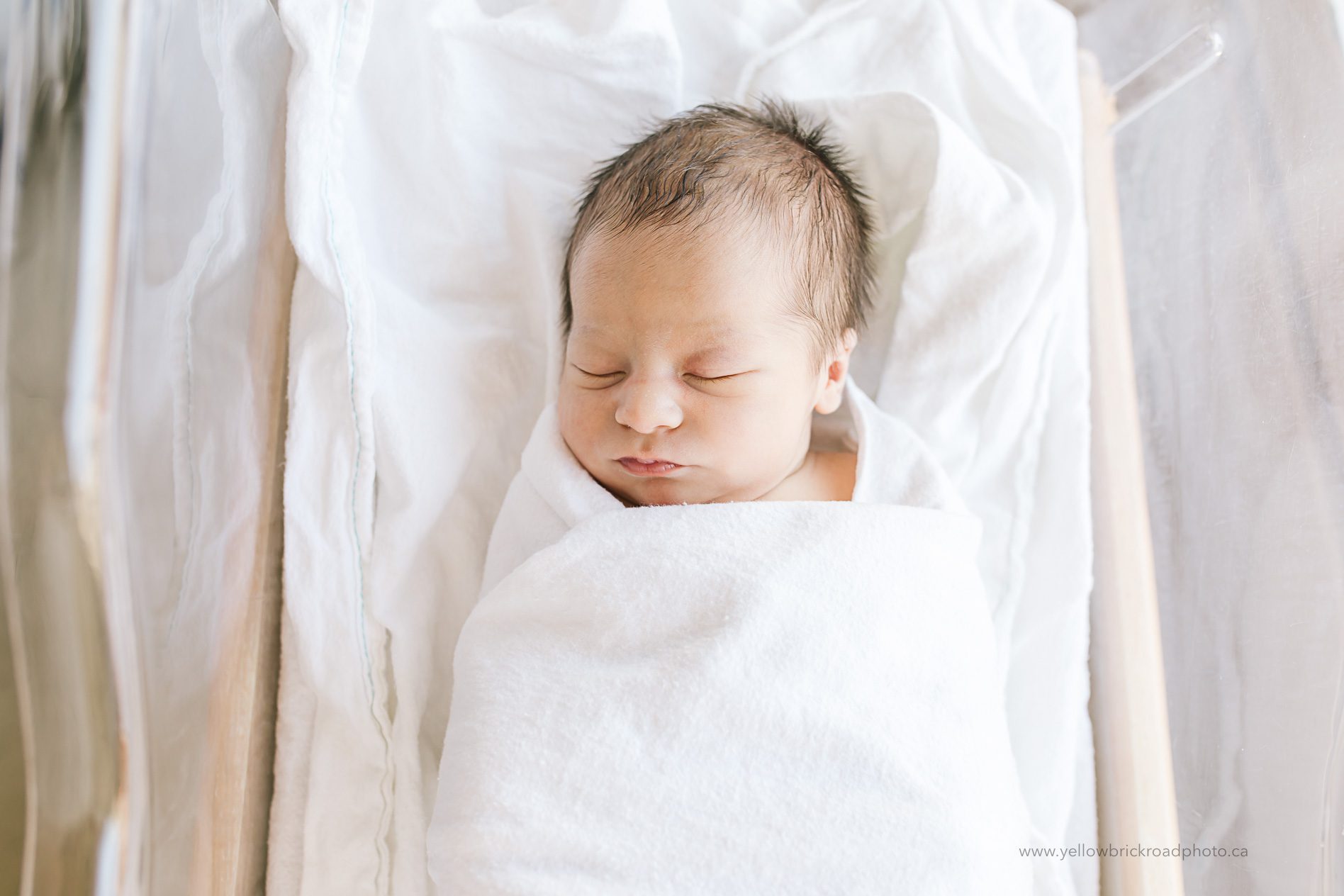 Hamilton Hospital Newborn Session
