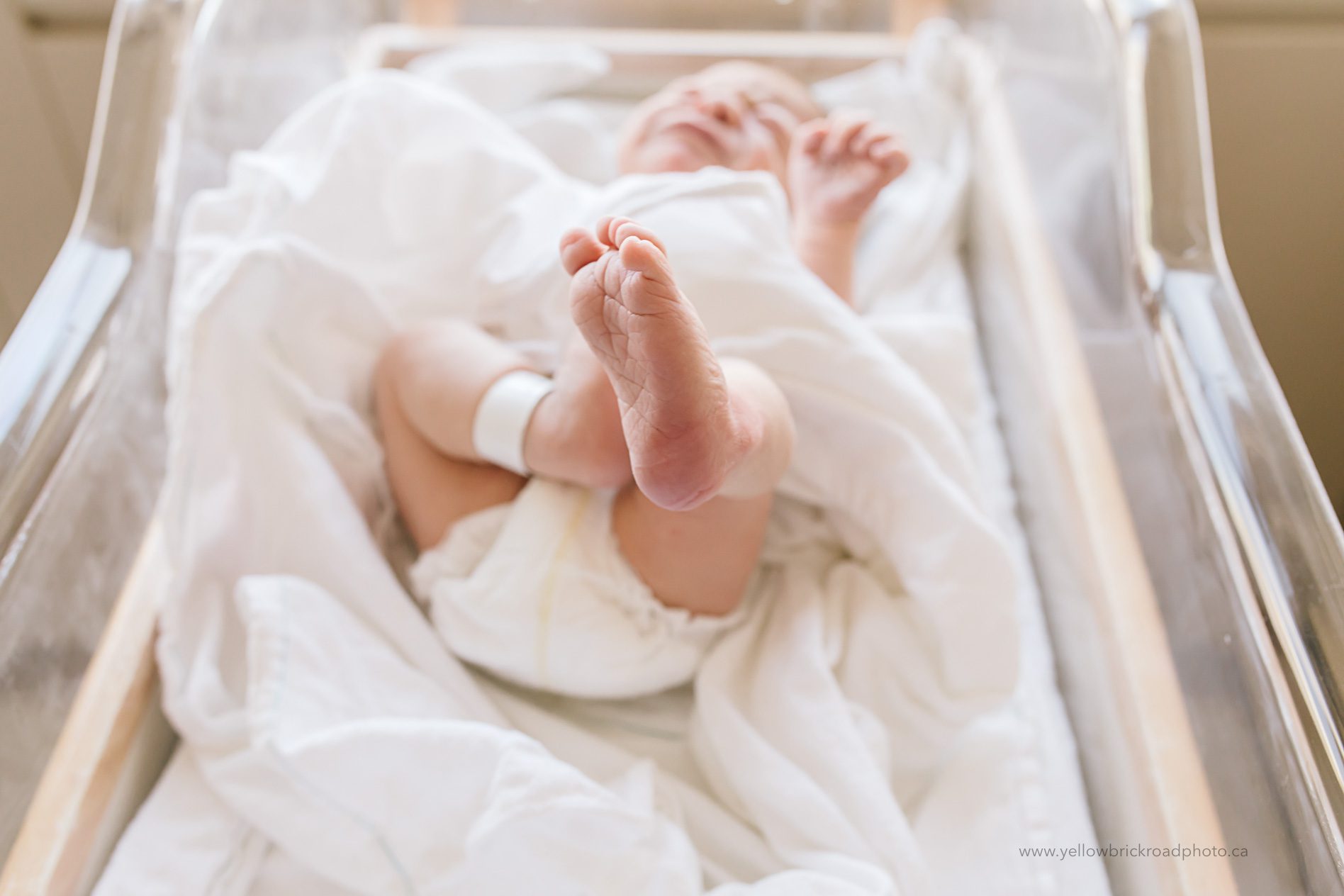 Hamilton Hospital Newborn Session