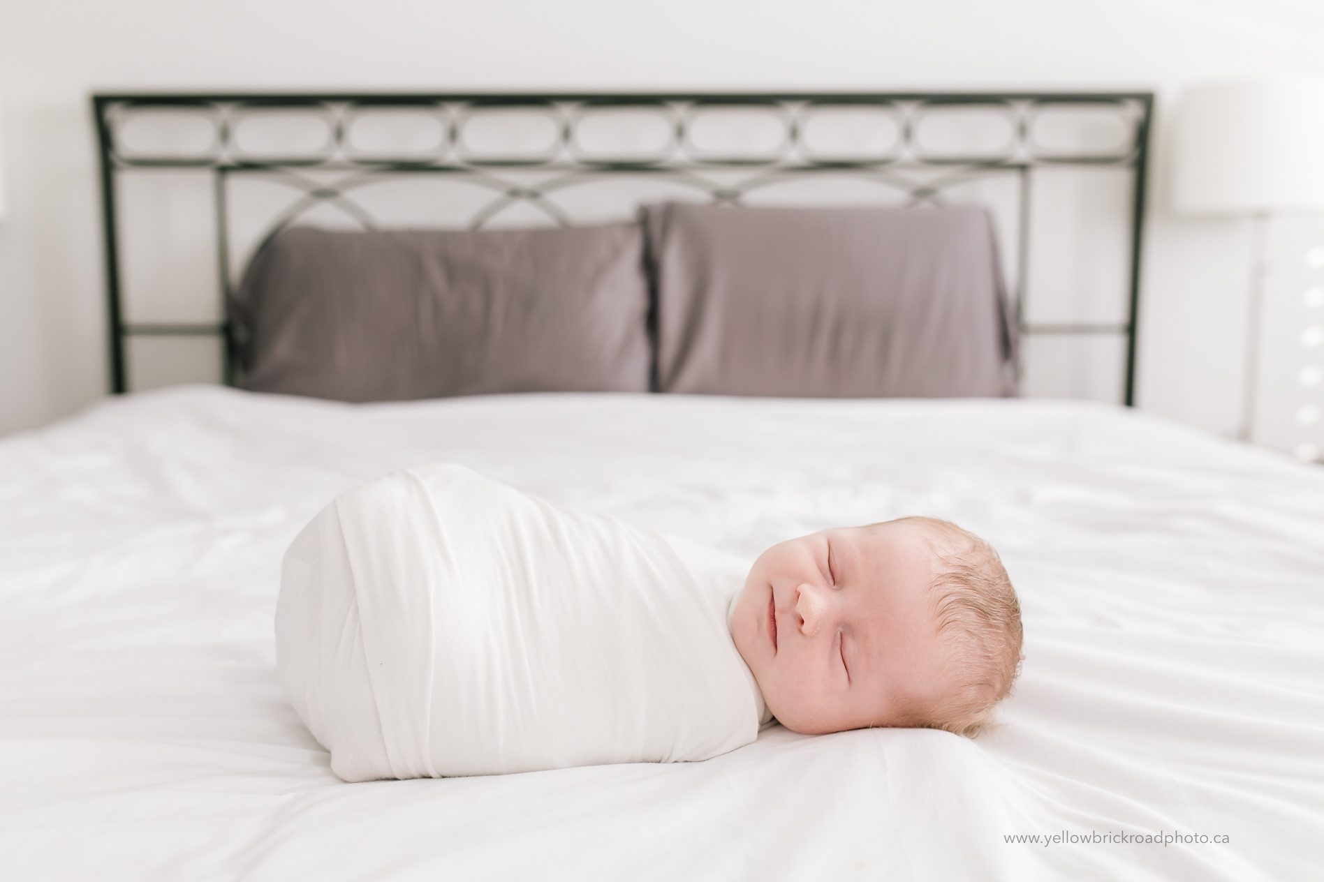 Guelph Newborn Family Photography
