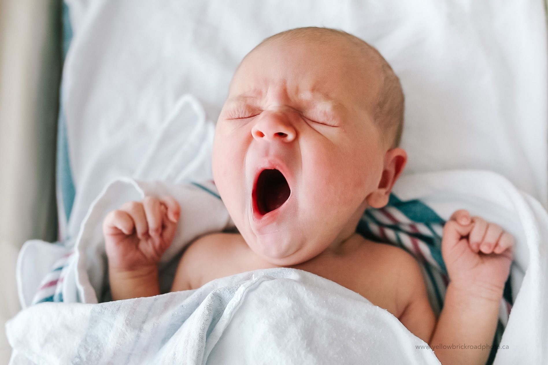 Fresh 48 Newborn