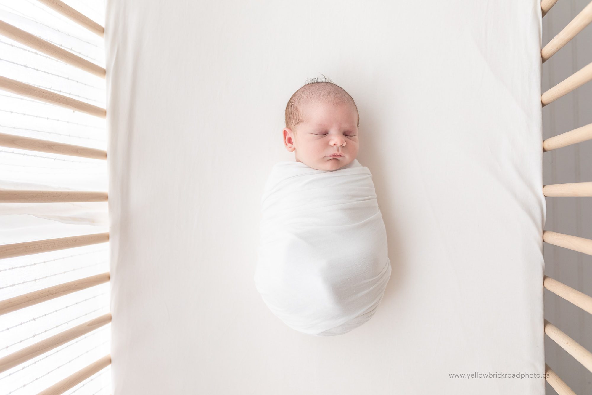 studio newborn photography