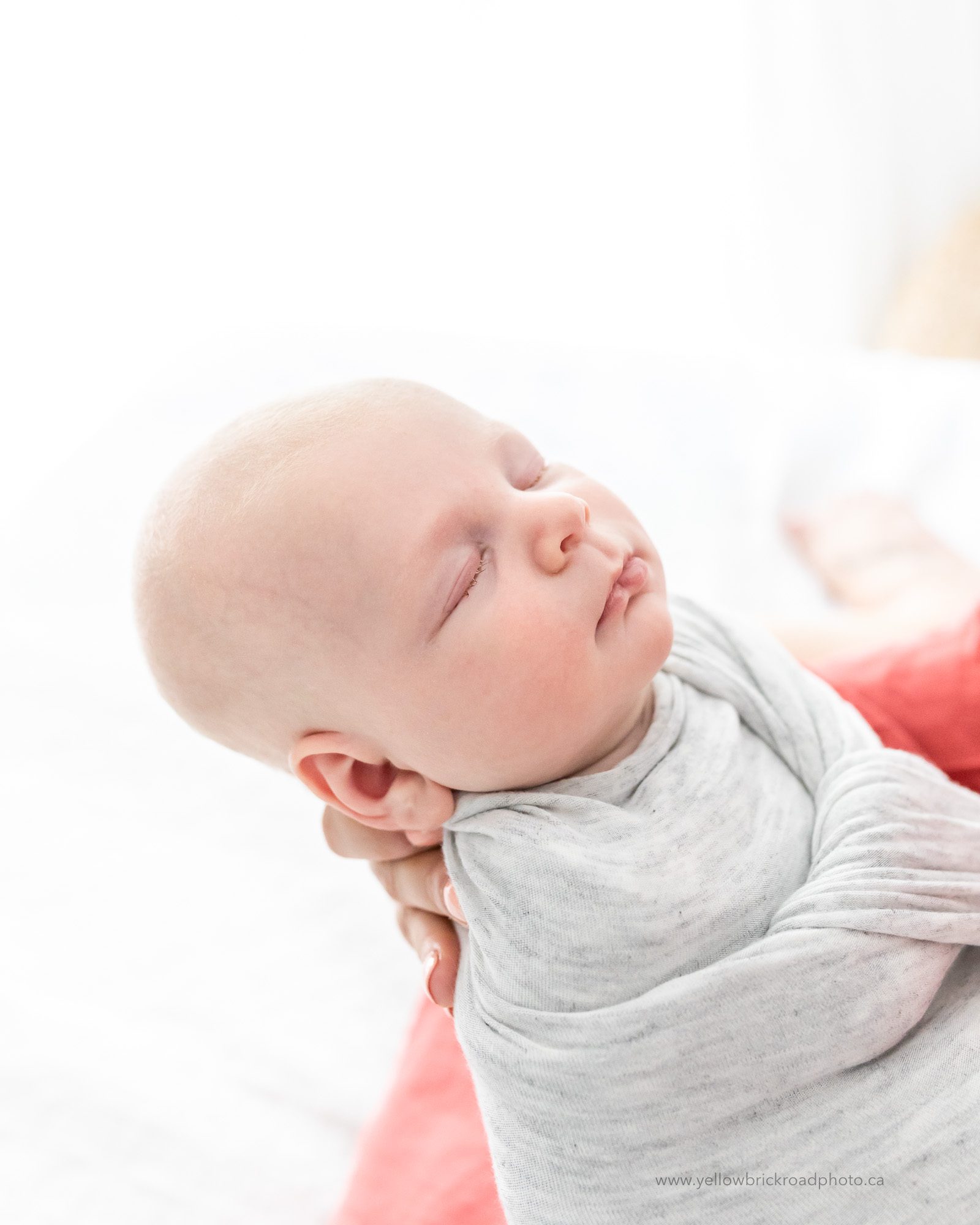 studio newborn session in guelph