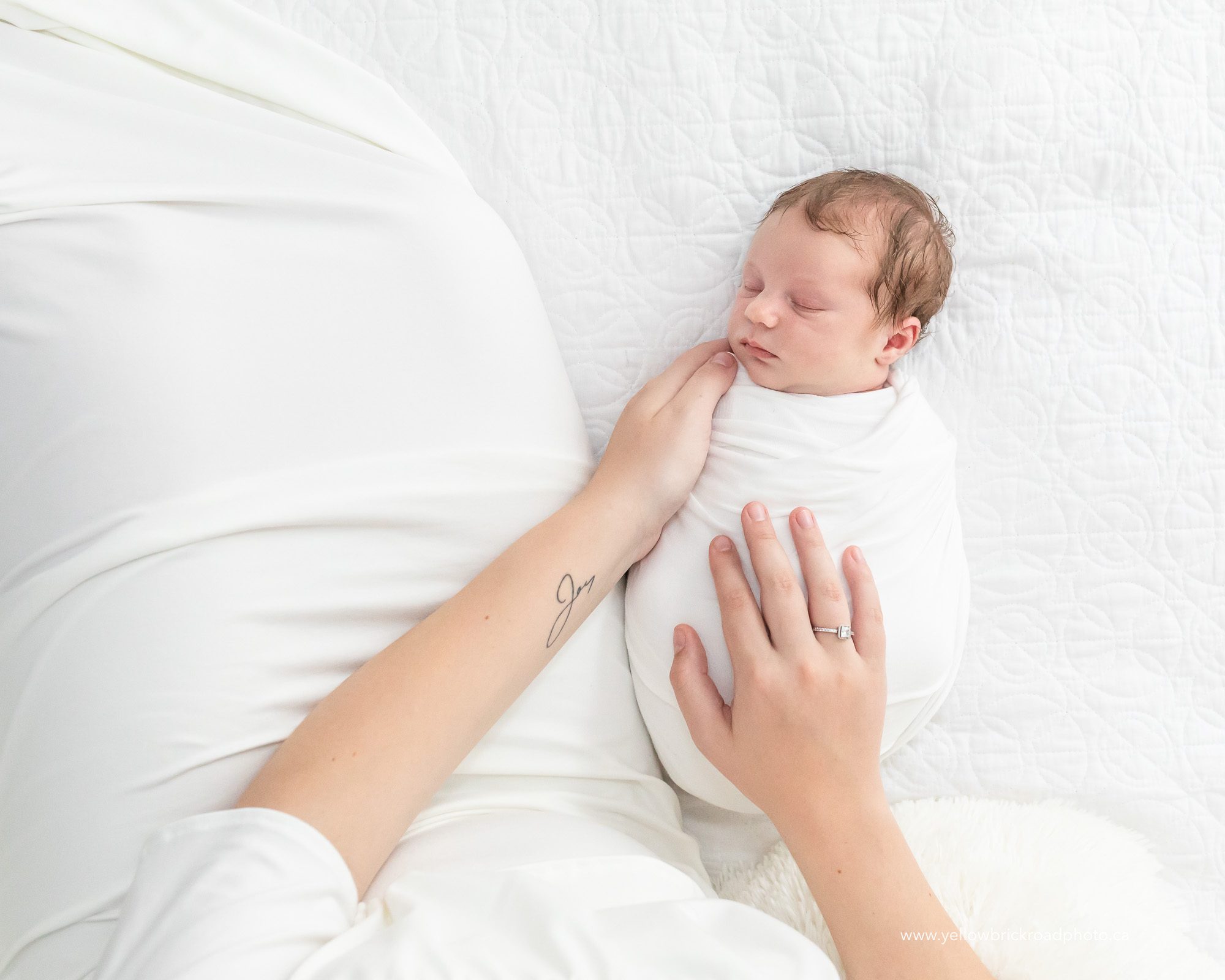 Studio Newborn Session 